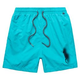 Pantalones cortos para hombre Diseñador de verano Pantalones cortos para nadar Caballo grande bordado Transpirable Playa Polo corto Secado rápido Surf Malla tela corta