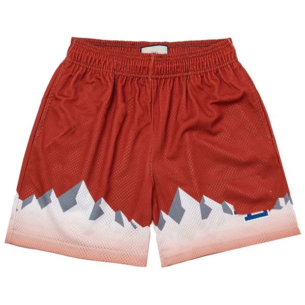 Shorts pour hommes EE pantalons taille moyenne garçons court maille natation court basket-ball TShort avec poches maille chaude T court pour le sport plage natation dérive rapide séchage rapide