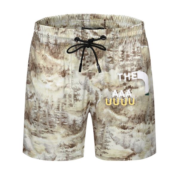 Shorts pour hommes Nouveau designer en gros Mode d'été Maillot de bain classique à carreaux à séchage rapide imprimé Pantalon de plage Short de bain pour hommes taille M-3XL # 016