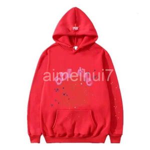 Heren Spider Hoodies Sweater Sweatshirts Purple Designer Fog Hoodie Men Women Young Thug 555555 Pullover Spider Web Star 6SV9