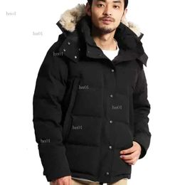 Mens Stylist Manteau Parka Veste D'hiver Canadian Goose Hommes Femmes Pardessus Veste Vers Le Bas Femmes Survêtement Causal Lettres Imprimé Outwears C2