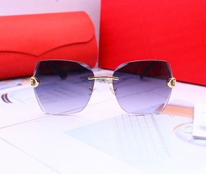 Gafas de sol para hombre Gafas de sol de diseño para mujer Lentes de protección polarizadas UV400 opcionales Gafas de sol