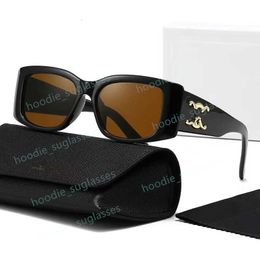 Lunettes de soleil pour hommes pour femmes lunettes de soleil designer verres de marque de luxe unisexe