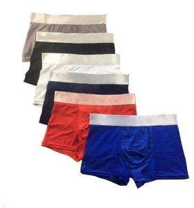 Sous-vêtements pour hommes Boxer Shorts Modal Sexy Gay Male Ceuca Boxers Sous-vêtements Respirant Mesh Homme Sous-vêtements M-XXL de haute qualité avec Boxfd