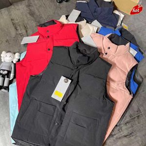 Heren Vest Designer Jacket Gilet Luxe Down Down Woman Feather Gevulde Materiaal Coat Grijs Grijs Zwart Wit Blauw Pop Rode Label Maat S M L XL XXL ZZSP 3F9P