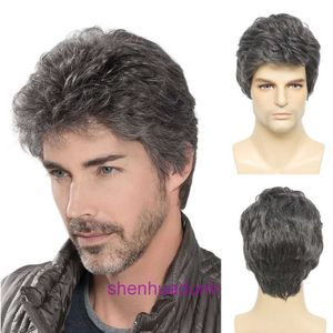 Perruque pour hommes courts pour hommes en couches gris coiffes naturelles synthétiques résistantes à la chaleur