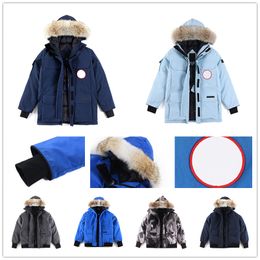 Hommes Femmes Mode Doudoune Doudoune Femme Manteau d'hiver Hommes Parka Manteau avec Lettre broderie Vestes d'extérieur Manteau Streetwear Vêtements chauds veste en duvet d'oie