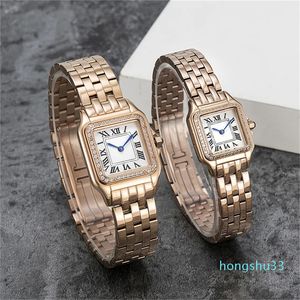 mens womens watch designer montres 22 27mm montre mouvement montres Classic Sapphire Waterproof Sports luxe