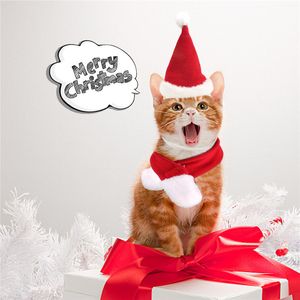 Joyeux noël chapeaux pour animaux de compagnie chiot chapeau de père noël écharpe ensemble Kitty hiver chaud foulard petits animaux de compagnie ensemble de costumes de noël