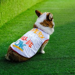 Vest de maille printemps et d'été Vêtements pour chiens cool confort