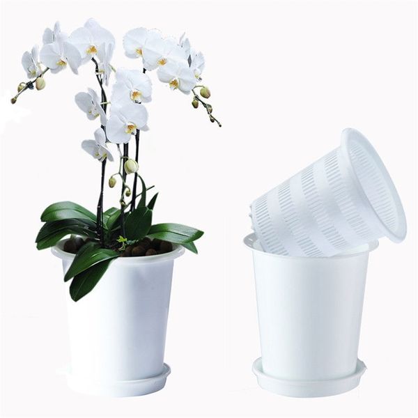 Meshpot Pot De Fleur En Plastique Double Couches Orchid Planter Container Améliorer La Quantité De Racine Et L'activité Planteur Décoration De La Maison 210712
