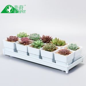 Meshpot Succulents Pot Flower Planter Holder Contrôle du bassin Home Decor, Rot Garden Y200723