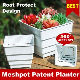 Meshpot Vetplanten Pot Plastic Bloempot Planter Container Zaailingen Kwekerij Tuin Lucht Snoeien Pot Met Wortel Controle 220211