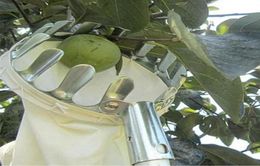 Metalen fruitplukker Handige tuinbouwfruitplukker Tuinieren Appelperzik Plukgereedschap 4187905