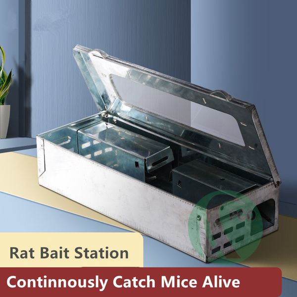 Station d'appât pour rats en métal 25,4 cm Petit piège fonctionnel en continu pour souris galvanisé Matériaux de prévention de la rouille Fenêtre en PVC Observation Attraper des souris vivantes