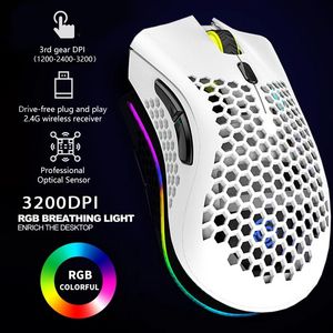 Souris 2 4G souris sans fil RGB lumière nid d'abeille jeu rechargeable USB ordinateur de bureau ordinateurs Aouse ordinateur portable Gamer mignon 230210