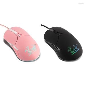 Souris Filaire Gaming Mouse Double Bonheur Oiseau Muet Coloré Lumineux Mignon Ergonomique Rose22