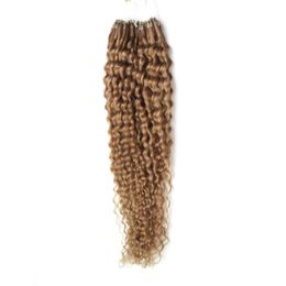 Micro Bead Hair Extensions 100g Micro Ring Loop Hair Extensions Kinky Krullend Haarverlenging Menselijke 100s 10 "-26"