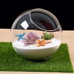 Micro-paysage bouteilles en verre créativité rosée collection vase en verre succulent plante terrarium conteneur pots de fleurs décor de la maison 240510