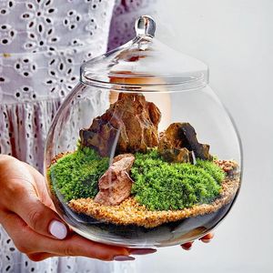 MICRO LANDSCHAP MOSS BRYOPHYTE BALLE VLAATS VASE MET LID Vers groene mos flesglas Terrarium bonsai Desktop Decoratie 240409