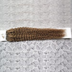 Extensiones de cabello Micro Loop, cabello humano con microcuentas, 1 g/s, 100g, 100 piezas, extensiones de cuentas brasileñas Remy rizadas afro rizadas 1G/1S