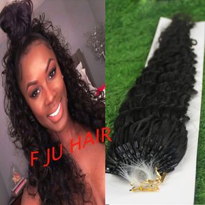 Extensions de cheveux humains micro-boucle 100g Kinky Curly Micro Loop Extensions de cheveux