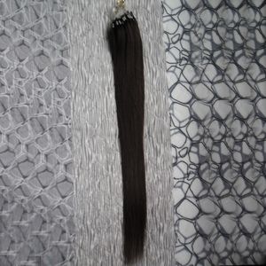 Micro Loop Ring Haarverlenging Blonde Remy Haar 100g Rechte Micro Loop Ring Haarkleur Micro Bead Extensions