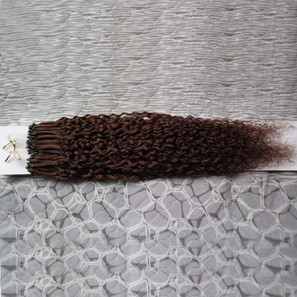 Micro boucle anneau Extensions de cheveux 1 g/s 100g 100 pièces afro crépus bouclés mis en évidence Remy cheveux pré-collés Micro boucle cheveux