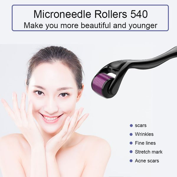 Micro Needle 540 Derma Roller Dermaroller Outils de soins de la peau du visage en titane Instrument d'introduction de la micro-aiguille du visage pour la repousse des cheveux