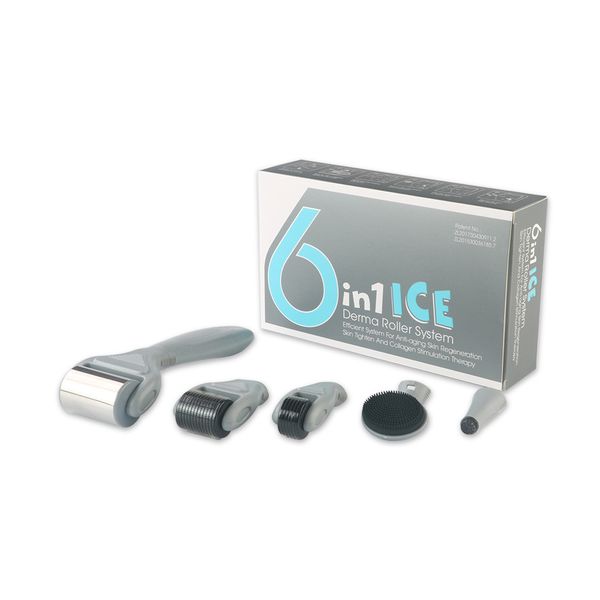 Micro Needle Derma Roller Care Kit facial 6 en 1 ICE Micro Needle Derma Roller pour les soins de la peau et le traitement du corps