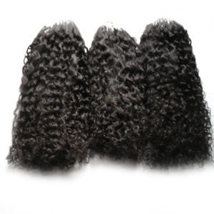 Micro Ring Hair Extensions Afro Kinky Krullend Menselijk Haar Bundels Micro Loop Menselijke Hair Extensions 300s Micro Kraal Europees 300g