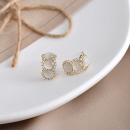 Micro ensemble Zircon œil de chat boucles d'oreilles en argent S925 femmes plaqué or 18 carats boucles d'oreilles pour femmes fête de mariage saint valentin fête des mères bijoux cadeau accessoires SPC