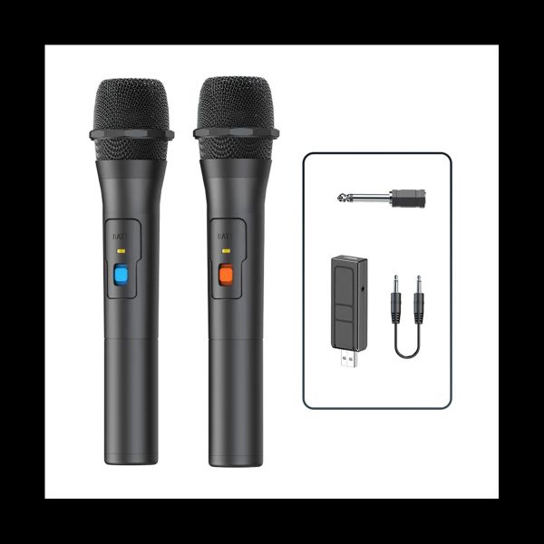 Microphones 2pcs Kits de système de microphone sans fil USB Handheld Home Part