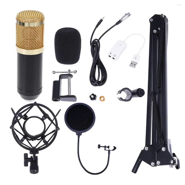 Mikrofone BM-800 Professionelles Studio-Rundfunk-Aufnahme-Kondensatormikrofon mit Halterung, Mikrofonständer, Filter, XLR – 35-mm-Kabel und USB