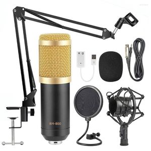 Microphones BM800 Studio Microphone Microfone Microfone Condenseur Sound Recording for Computer