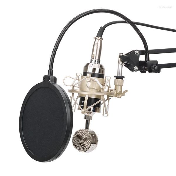 Micrófonos BM8000 Micrófono de karaoke Condensador de estudio Mikrofon KTV BM 8000 Mic para radio Braodcasting Canto Grabación Computadora
