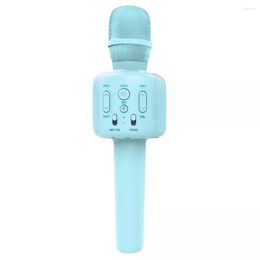 Microfoons condensor microfoon 2 in 1 draadloze Bluetooth handheld luidspreker draagbare microfoon thuis KTV ondersteuning SD -kaart voor telefoon laptop bureaublad