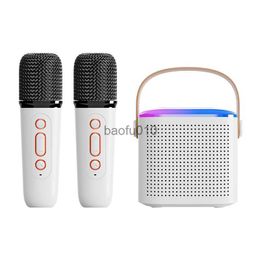 Microfoons Dual Wireless Microfoon Karaoke Machine Bluetooth 5.3 PA luidsprekersysteem met 1-2 draadloze microfoons Home Family KTV Audioset HKD230818