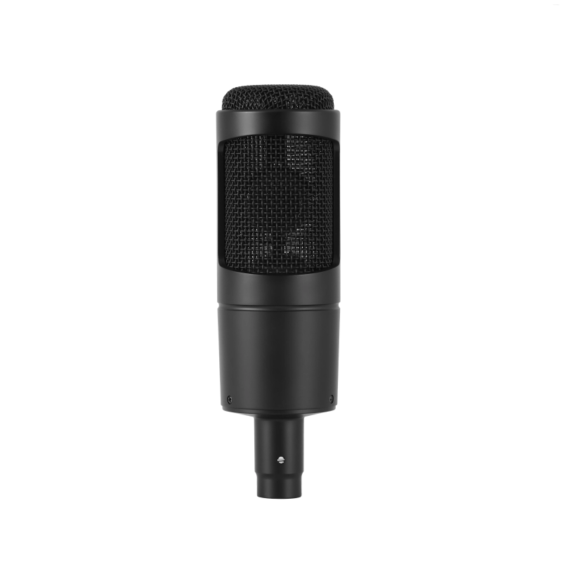 Microfoni PER Audio-Technica AT2035 Microfono a condensatore cardioide Perfect Studio Podcasting Streaming Uscita XLR