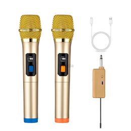 Microphones Heikuding Wireless Microphone UHF Dual sans fil Système de micro dynamique avec récepteur rechargeable pour karaoké Singing DJ Microphone 240408