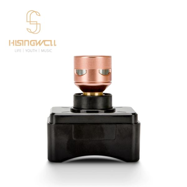 Microphones Hisingwell Microphone Capsule Mic Head Core Remplacement du micro Highfidelity Voice Rosegold Metal