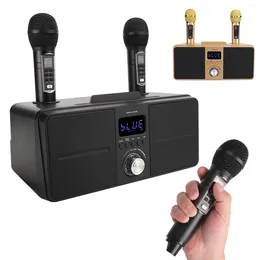 Microphones Karaoke Sound Family KTV Kit de haute qualité Microphone sans fil intégré Live Card Haut-parleur H