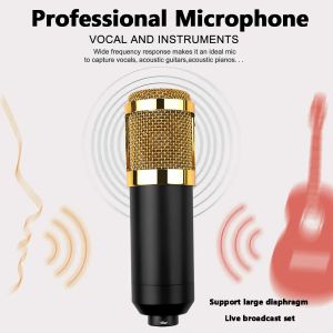 Microphones Kebidu Professional BM800 Karaoke Mic Studio Microphone pour KTV Radio Support Large Diaphragm Live Broadcast Mic Set