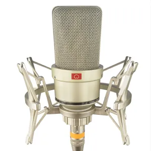 Microphones Microphone à condensateur professionnel en métal pour ordinateur portable/ordinateur Microphone professionnel pour l'enregistrement vocal jeu Podcast en direct