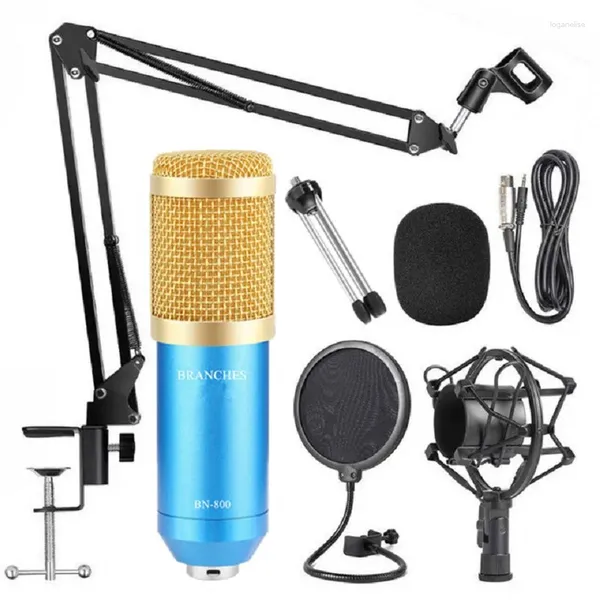 Microphones Microphone à condensateur métallique pour ordinateur portable Studio d'enregistrement Streaming karaoké Youtube TIKTOK Gaming DJ BM-800