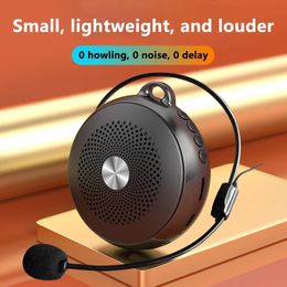 Microfoons Mini-stemversterker Multifunctionele draagbare persoonlijke server met microfoon Display Surround Sound voor leraren Spraak 231206