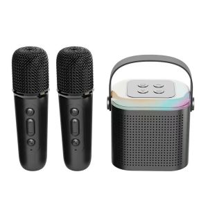 Microphones Nouveau microphone Karaoke System Machine portable Bluetooth 5.3 haut-parleur avec 12 microphones sans fil Machine de chant familiale de maison