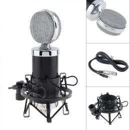 Microphones Professional BM 5000 Microphone du condenseur avec commande de circuit et tête de diaphragme à grande envergure pour KTV / Studio