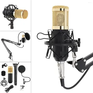 Microphones Microphone à condensateur professionnel BM 800 karaoké avec support de bras de support filtre pour enregistrement en studio sur ordinateur spectacle en direct