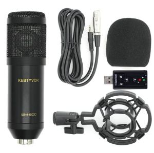 Microphones Professional BM800 BM800 Microphone Sound Enregistrement Microphone avec support de choc pour le chant de radio